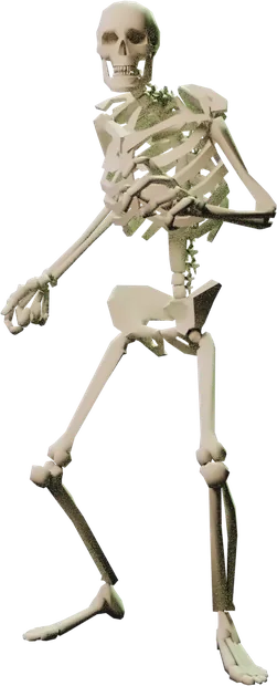 A skeleton, rendered from the official TF2 model